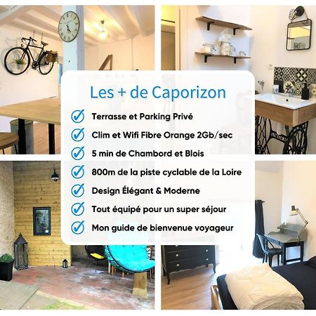 Caporizon-L'Atelier-Aux Portes Du Chateau De Chambord Saint-Claude-de-Diray Екстер'єр фото